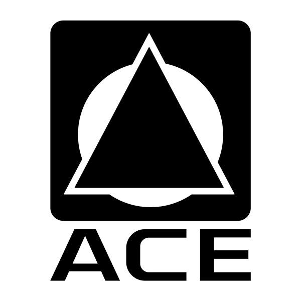 Wohnmobil aufkleber: Ace logo