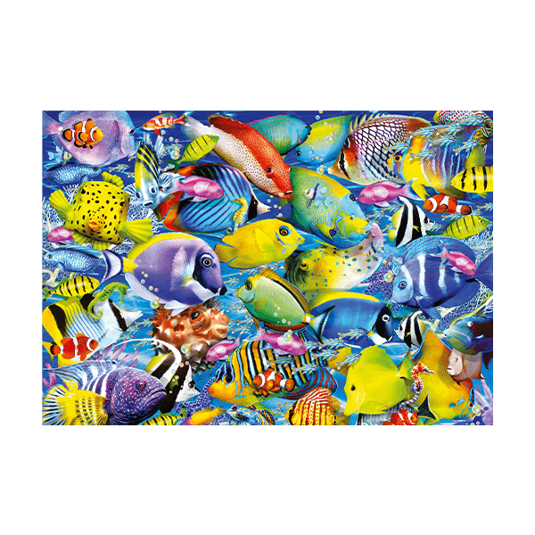 Wandtattoos: Bunte Fische