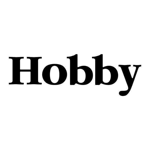 Wohnmobil aufkleber: Hobby 2